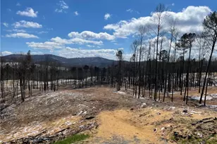 134 Twisted Oak Rd, Talking Rock, GA 30175 - Photo 1