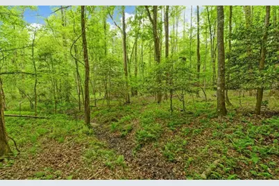 0 Honey Tree Terrace, Dahlonega, GA 30533 - Photo 19