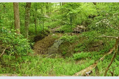 0 Honey Tree Terrace, Dahlonega, GA 30533 - Photo 15