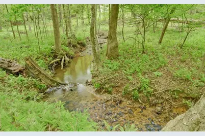 0 Honey Tree Terrace, Dahlonega, GA 30533 - Photo 13