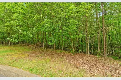 0 Honey Tree Terrace, Dahlonega, GA 30533 - Photo 5