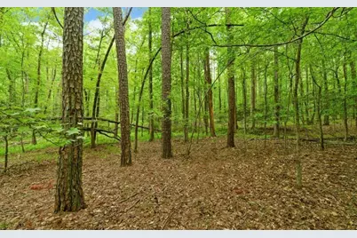 0 Honey Tree Terrace, Dahlonega, GA 30533 - Photo 17