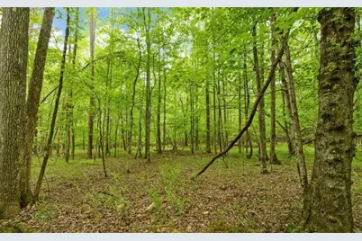 0 Honey Tree Terrace, Dahlonega, GA 30533 - Photo 21