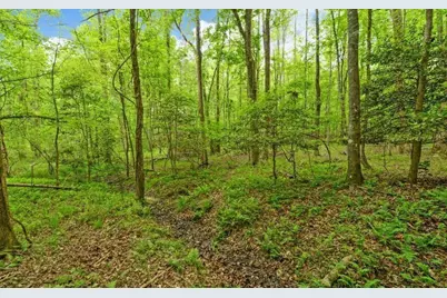 0 Honey Tree Terrace, Dahlonega, GA 30533 - Photo 19