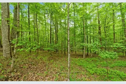 0 Honey Tree Terrace, Dahlonega, GA 30533 - Photo 25