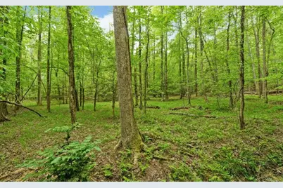 0 Honey Tree Terrace, Dahlonega, GA 30533 - Photo 23