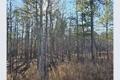 00000 Highgrove Drive, Talking Rock, GA 30175 - Photo 5