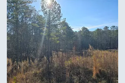 00000 Highgrove Drive, Talking Rock, GA 30175 - Photo 3