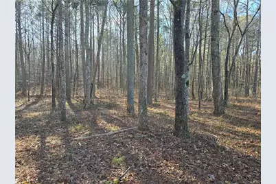 00000 Highgrove Drive, Talking Rock, GA 30175 - Photo 15