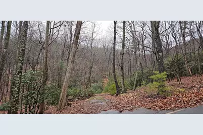 255 Woodland Trace, Jasper, GA 30143 - Photo 1