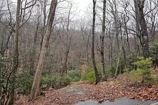 255 Woodland Trace, Jasper, GA 30143 - Photo 1