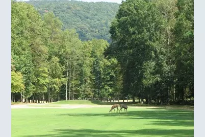 0 Shadowick Mountain Road, Jasper, GA 30143 - Photo 7
