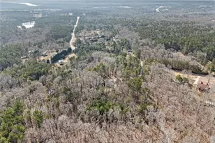 490 Dorsey Road Rd, Hampton, GA 30228 - Photo 55