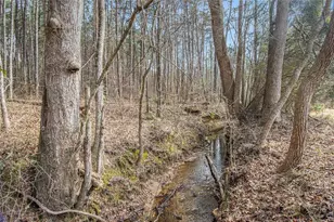 490 Dorsey Road Rd, Hampton, GA 30228 - Photo 51