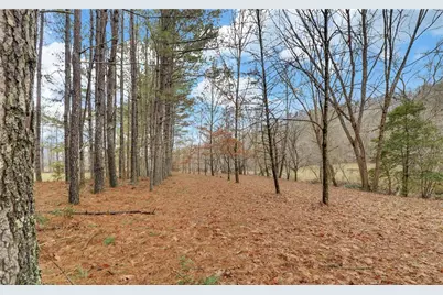 133 Elkmont Drive, Dahlonega, GA 30533 - Photo 57