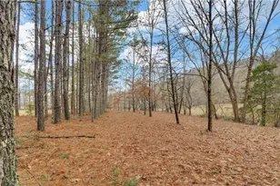 133 Elkmont Dr, Dahlonega, GA 30533 - Photo 57