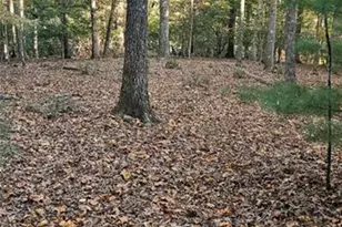 5 Gold Mine Rd, Morganton, GA 30560 - Photo 1