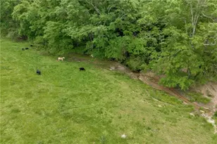 3004 Lipscomb Lake Rd, Pendergrass, GA 30567 - Photo 103