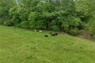 3004 Lipscomb Lake Rd, Pendergrass, GA 30567 - Photo 99