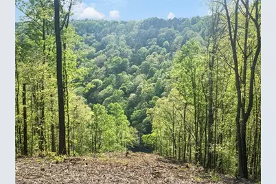 Lt 274 Canoe Way, Talking Rock, GA 30175 - Photo 29