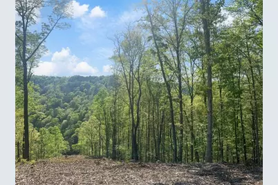 Lt 274 Canoe Way, Talking Rock, GA 30175 - Photo 27