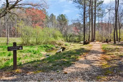 Lt 274 Canoe Way, Talking Rock, GA 30175 - Photo 37