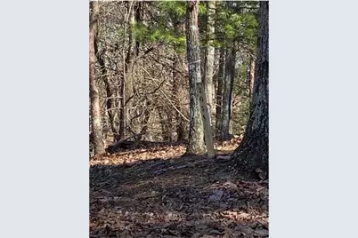 68 Wood Fern Knoll, Big Canoe, GA 30143 - Photo 11