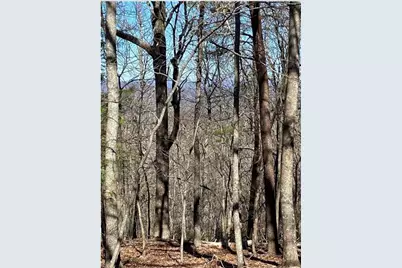 68 Wood Fern Knoll, Big Canoe, GA 30143 - Photo 7