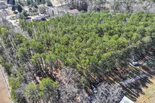 1891 Hwy 81 E, McDonough, GA 30252 - Photo 19