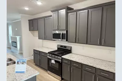 2424 Anhinga Drive, Loganville, GA 30052 - Photo 5