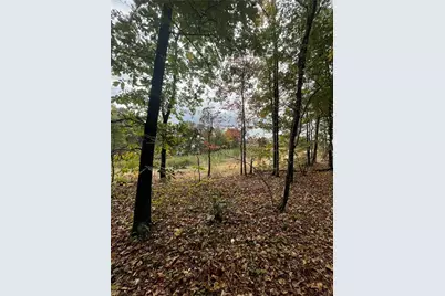 41 Foxfire Lane, Cartersville, GA 30120 - Photo 3