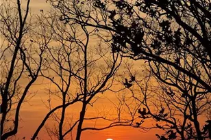 1911 Ridgeview Dr, Jasper, GA 30143 - Photo 3