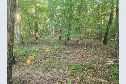 340 Pat Rich, Canton, GA 30115 - Photo 5