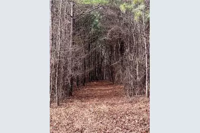 325 Everett Springs Road NE, Calhoun, GA 30701 - Photo 5