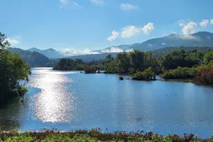 325 Scataway Rd, Hiawassee, GA 30546 - Photo 49