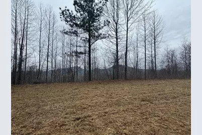 Lot 10 Chatuge Manor, Young Harris, GA 30582 - Photo 1