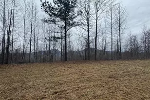 Lot 10 Chatuge Manor, Young Harris, GA 30582 - Photo 1