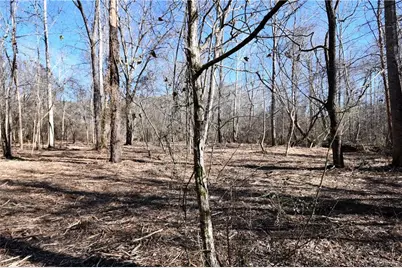 2977 Georgia Highway 120, Tallapoosa, GA 30176 - Photo 13