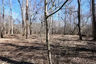 2977 Georgia Hwy 120, Tallapoosa, GA 30176 - Photo 13