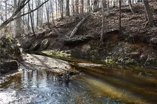 2977 Georgia Hwy 120, Tallapoosa, GA 30176 - Photo 43