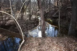 2977 Georgia Hwy 120, Tallapoosa, GA 30176 - Photo 45