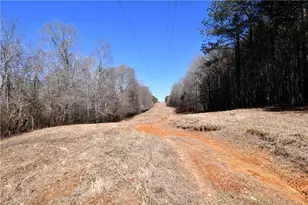 2977 Georgia Hwy 120, Tallapoosa, GA 30176 - Photo 17
