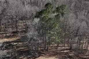 2977 Georgia Hwy 120, Tallapoosa, GA 30176 - Photo 33