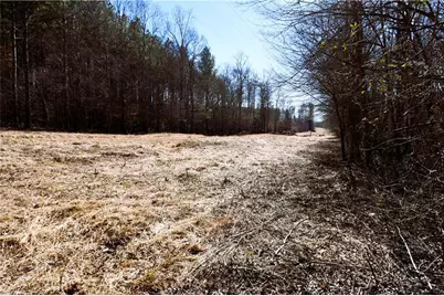 2977 Georgia Highway 120, Tallapoosa, GA 30176 - Photo 9