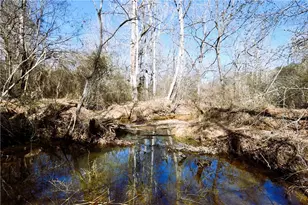 2977 Georgia Hwy 120, Tallapoosa, GA 30176 - Photo 3