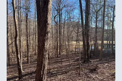 3183 Crippled Oak Trail, Jasper, GA 30143 - Photo 5