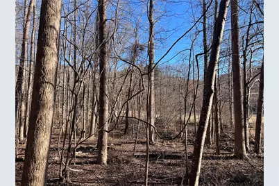 3183 Crippled Oak Trail, Jasper, GA 30143 - Photo 7