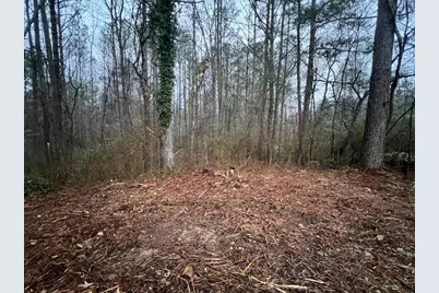 74 Bonds Court, Hiram, GA 30141 - Photo 3