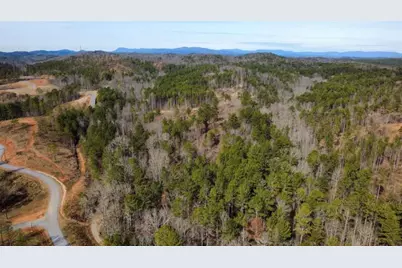 Lt 108 Blalock Mountain Road, Talking Rock, GA 30175 - Photo 3