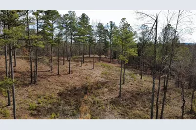 Lt 108 Blalock Mountain Road, Talking Rock, GA 30175 - Photo 7